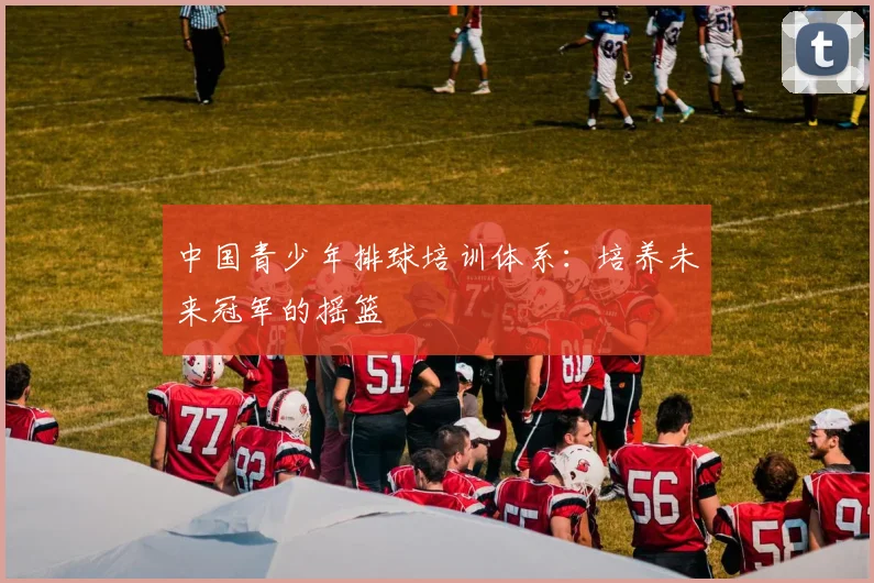 中国青少年排球培训体系:培养未来冠军的摇篮