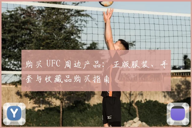 购买 UFC 周边产品：正版服装、手套与收藏品购买指南